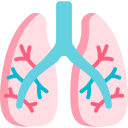 pulmones